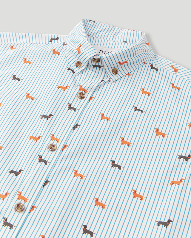 Dachshund 2025 shirt mens